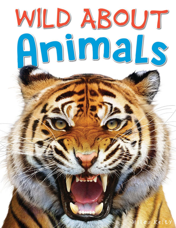 Picture of 3416 WILD ABOUT ANIMALS